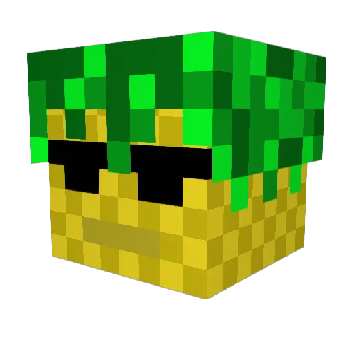 LostPineapple81 Minecraft avatar head, 3D render