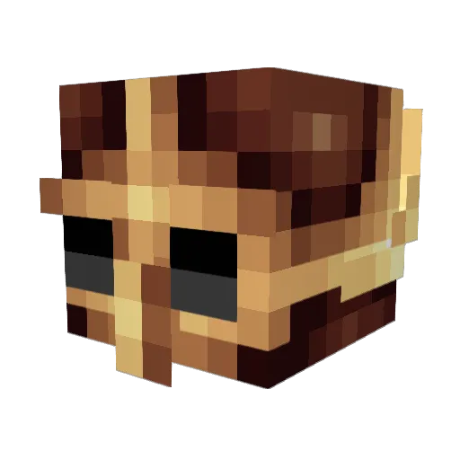 LostPlayer14 Minecraft avatar head, 3D render