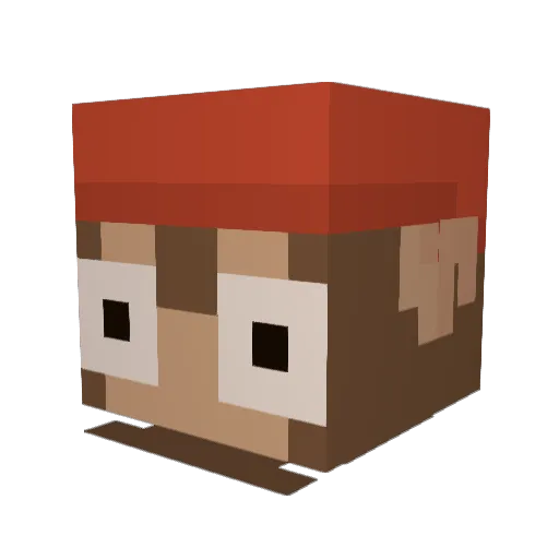 Lost_Afar Minecraft avatar head, 3D render