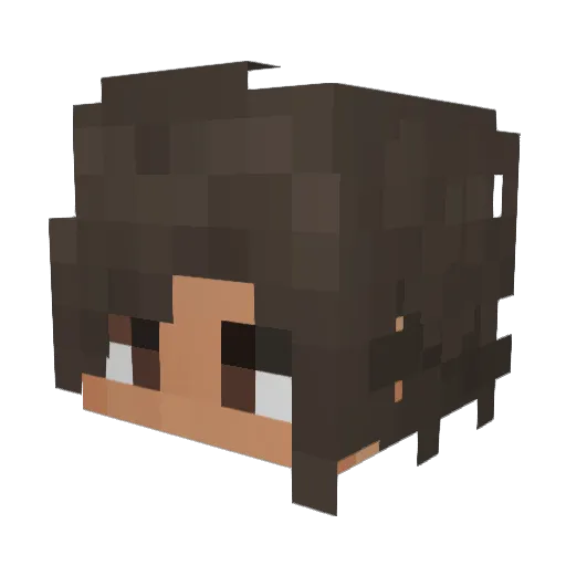 Lost_Is_Here_ Minecraft avatar head, 3D render