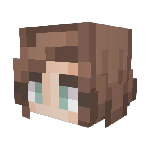 Lost_L Minecraft avatar head, 3D render