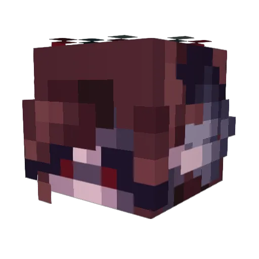 Lost_Magician Minecraft avatar head, 3D render