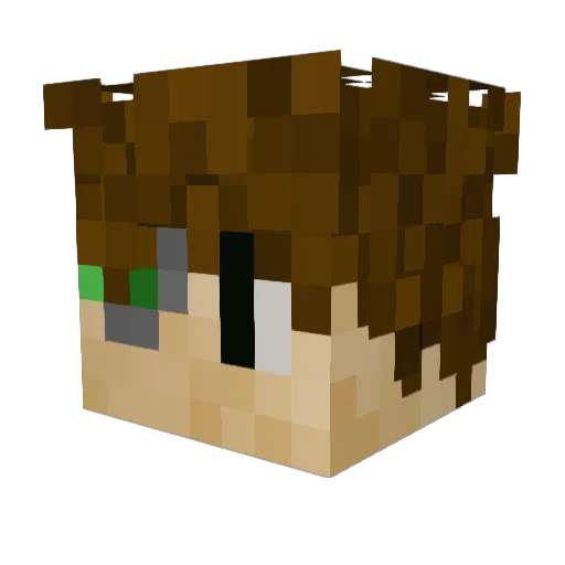 Lost_Walker0 Minecraft avatar head, 3D render