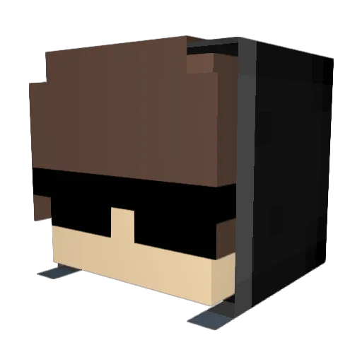 Lostiers Minecraft avatar head, 3D render
