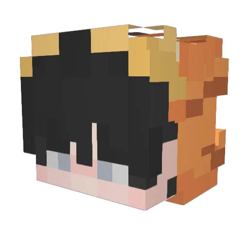Lostiexe Minecraft avatar head, 3D render