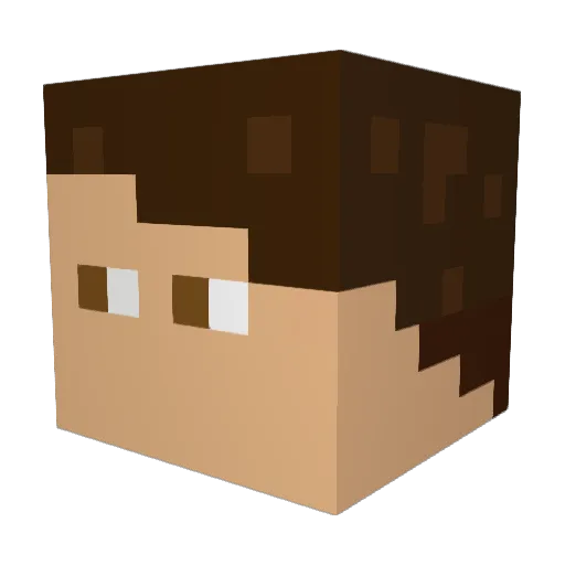 Lostiinho Minecraft avatar head, 3D render
