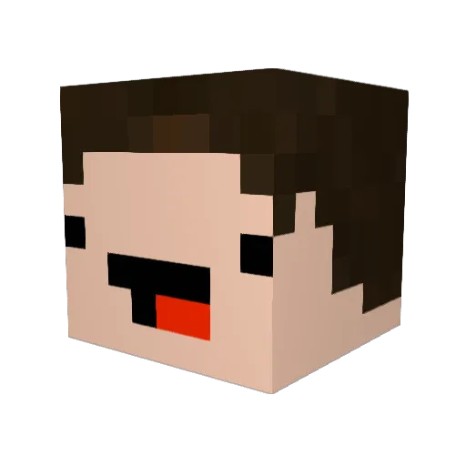 Lostinparadox Minecraft avatar head, 3D render