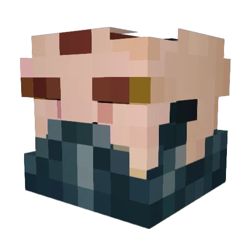 Lostrac Minecraft avatar head, 3D render