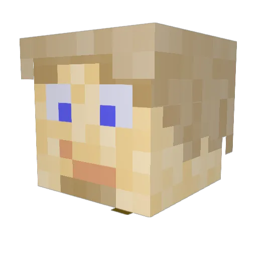 Losty557 Minecraft avatar head, 3D render