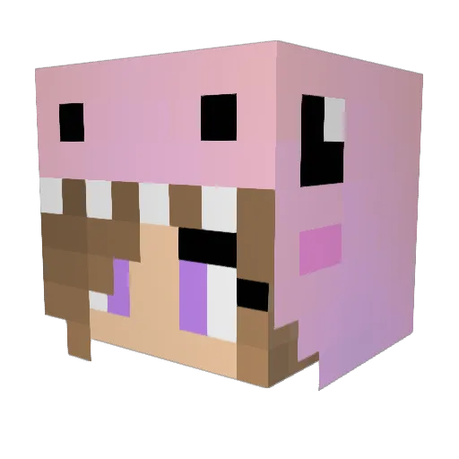 Losvarga Minecraft avatar head, 3D render