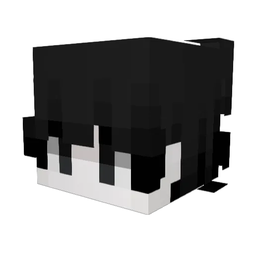 Loswr Minecraft avatar head, 3D render