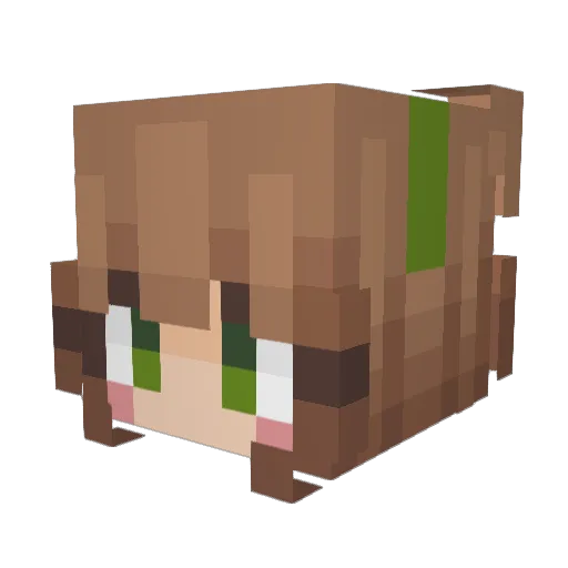 LotJan Minecraft avatar head, 3D render