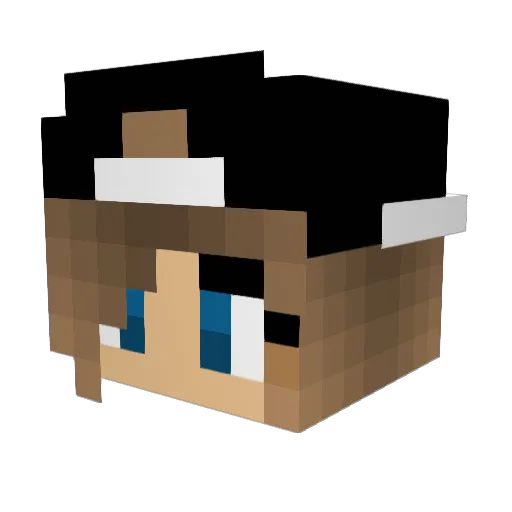 Lotilotus Minecraft avatar head, 3D render