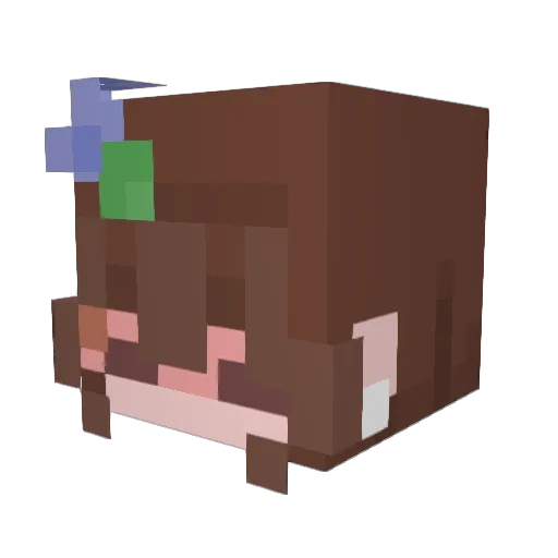LotsOfNats Minecraft avatar head, 3D render