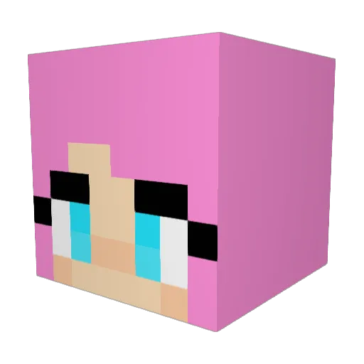 LottaHawk Minecraft avatar head, 3D render