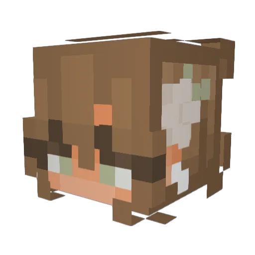 Lotte1505 Minecraft avatar head, 3D render