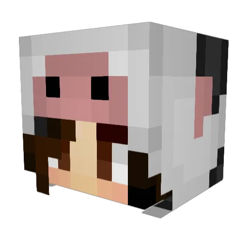 LotteEGS Minecraft avatar head, 3D render