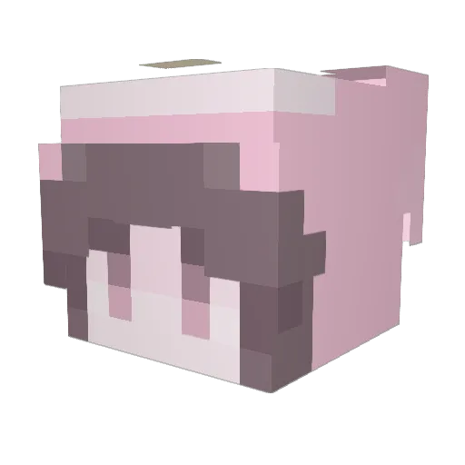 Lottie143 Minecraft avatar head, 3D render