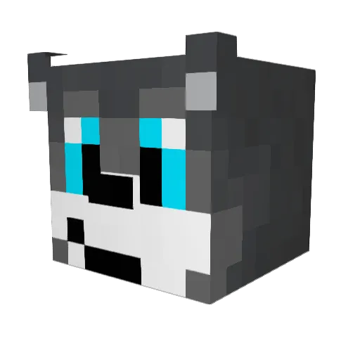 LottonTheWizard Minecraft avatar head, 3D render