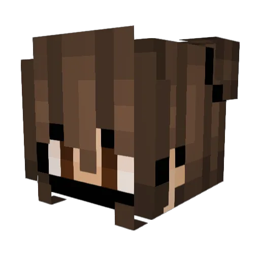 Lotus155 Minecraft avatar head, 3D render