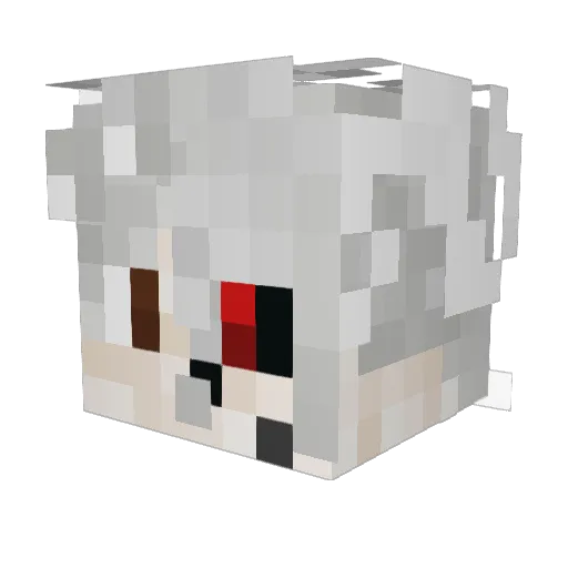 Lotus18_ Minecraft avatar head, 3D render