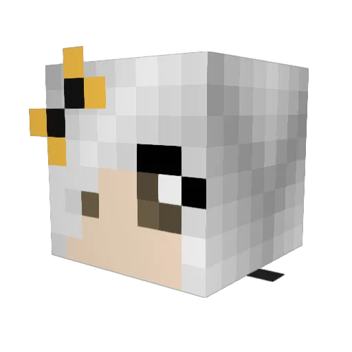 Lotus1903 Minecraft avatar head, 3D render