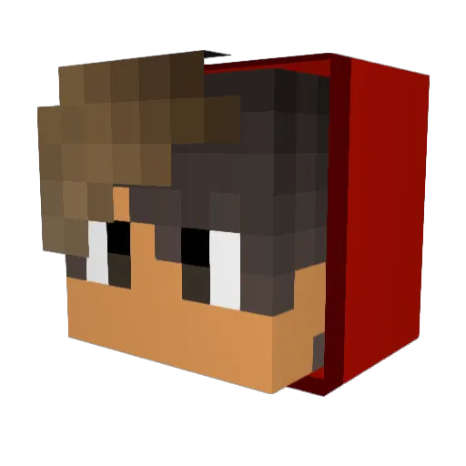 Lotus2005 Minecraft avatar head, 3D render