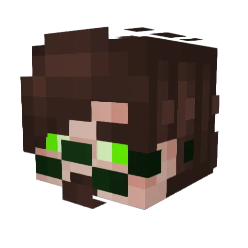 Lotus461 Minecraft avatar head, 3D render