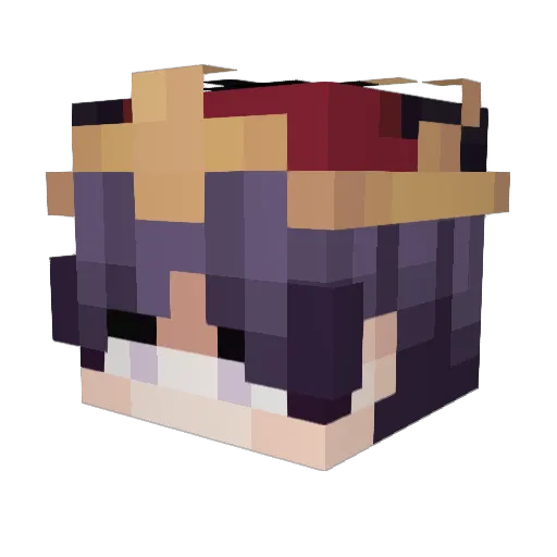 Lotus5s Minecraft avatar head, 3D render
