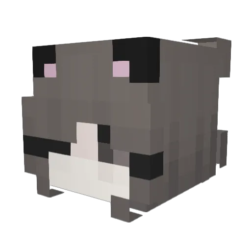 Lotus7773 Minecraft avatar head, 3D render