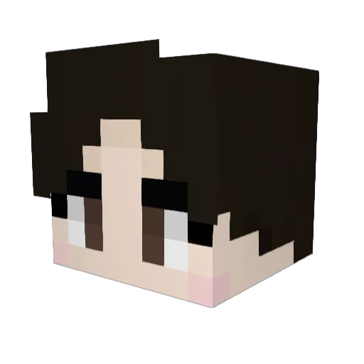 Lotus905 Minecraft avatar head, 3D render