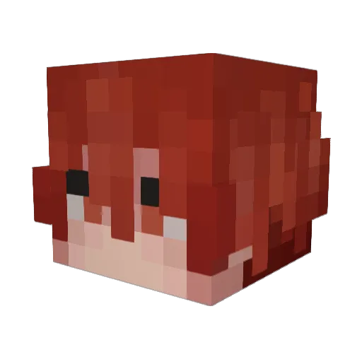LotusDT Minecraft avatar head, 3D render