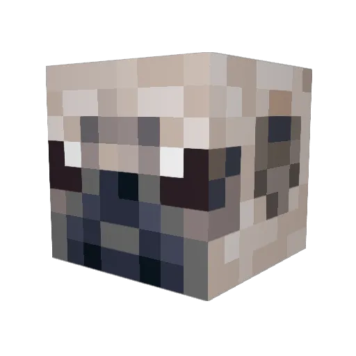 LotusNP Minecraft avatar head, 3D render