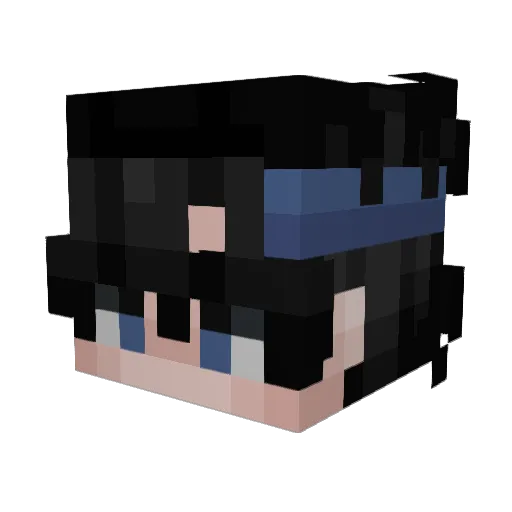 Lotus_00 Minecraft avatar head, 3D render