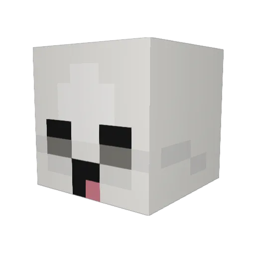 Lotus_oxox Minecraft avatar head, 3D render