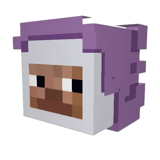 Lotusflower06 Minecraft avatar head, 3D render