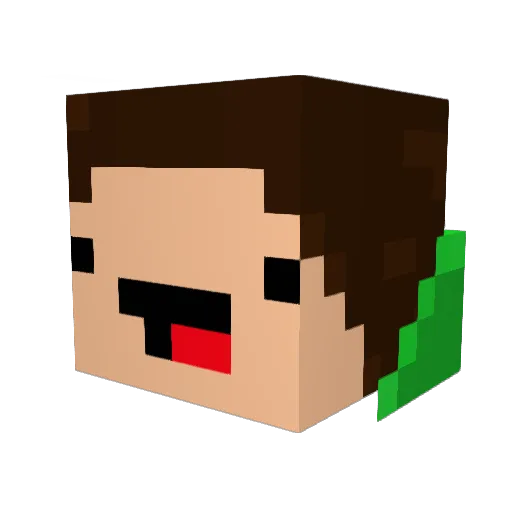 Lotusmaniac415 Minecraft avatar head, 3D render