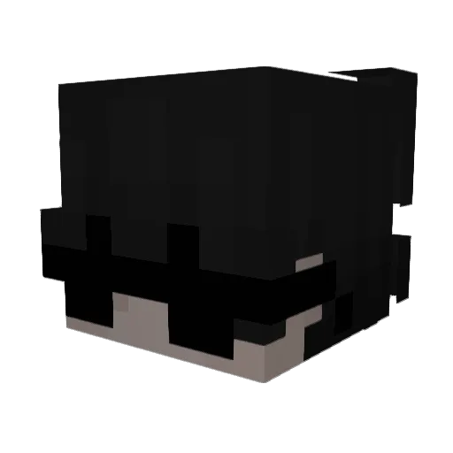 Lotuswind Minecraft avatar head, 3D render
