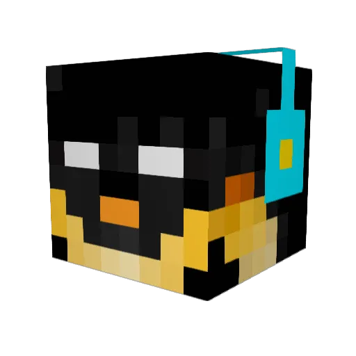 Lou529 Minecraft avatar head, 3D render