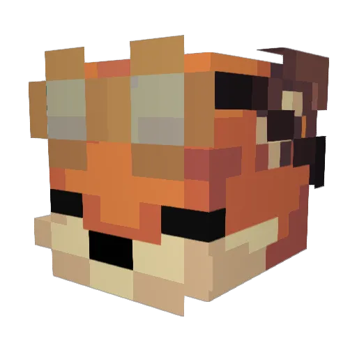 LouFoxx Minecraft avatar head, 3D render