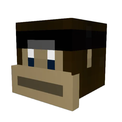 Lou_907 Minecraft avatar head, 3D render