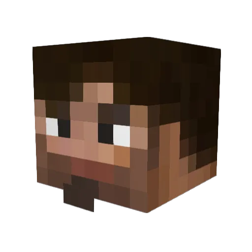 Lou_StP Minecraft avatar head, 3D render