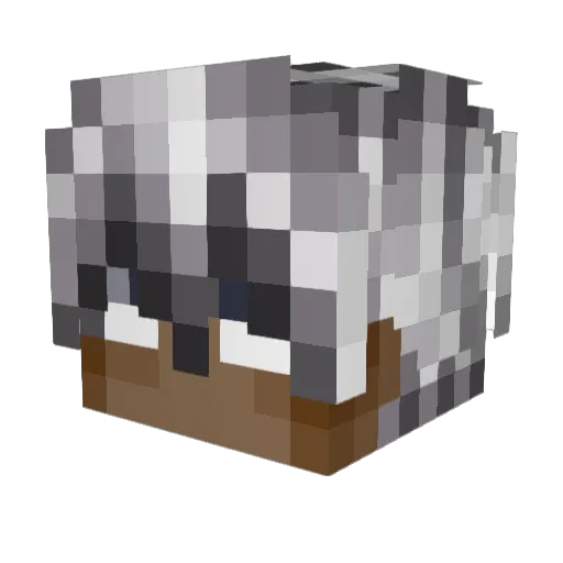Louchou Minecraft avatar head, 3D render