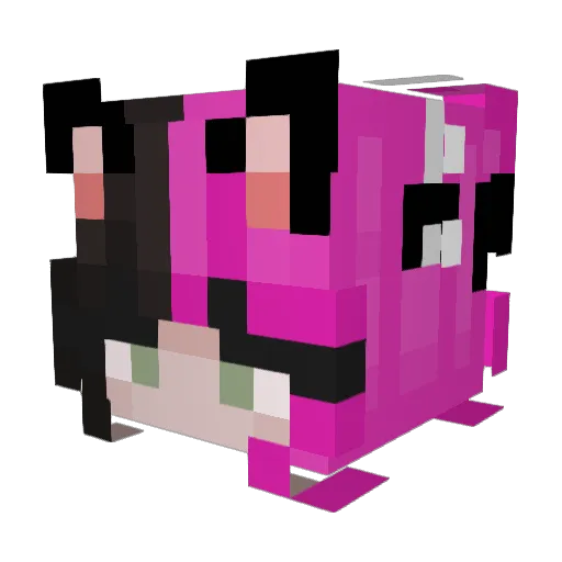 Loud_Cloud__ Minecraft avatar head, 3D render
