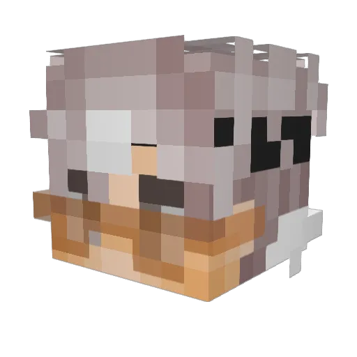 Louder_Leo Minecraft avatar head, 3D render