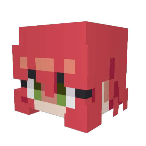 Loudile Minecraft avatar head, 3D render