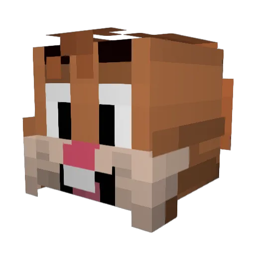 Lougs Minecraft avatar head, 3D render