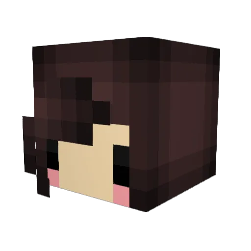 Loui__Loui Minecraft avatar head, 3D render