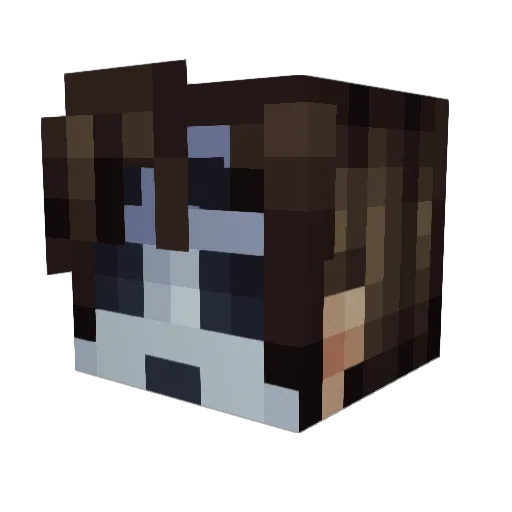 Louie55 Minecraft avatar head, 3D render