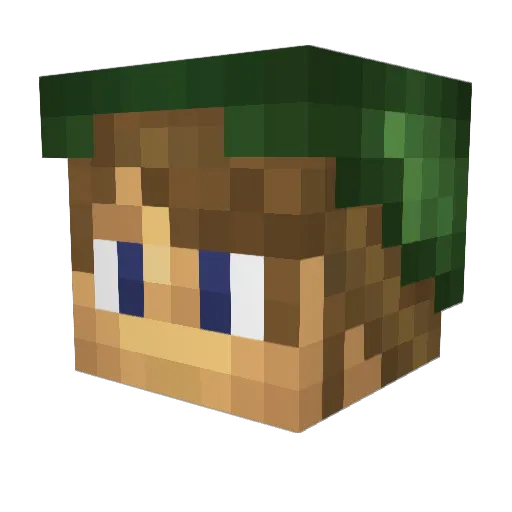 Louie9482 Minecraft avatar head, 3D render